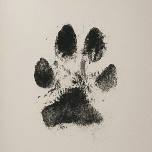 PawPrint™